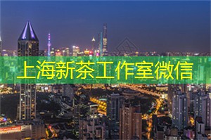 连环迷宫挑战！在上海后花园中解锁50个别具一格的难题