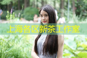 融创金成四季和鸣动态 融创金成四季和鸣动态