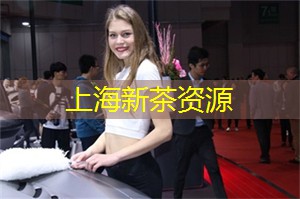 流行文化与上海的艺术家合作